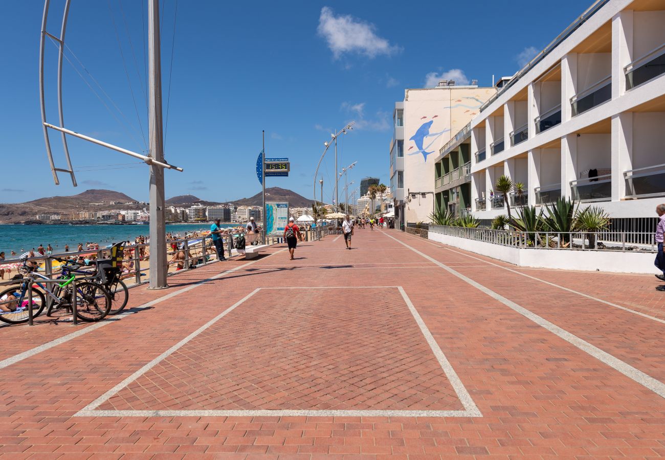 Estudio en Las Palmas de Gran Canaria - Luis Morote 54