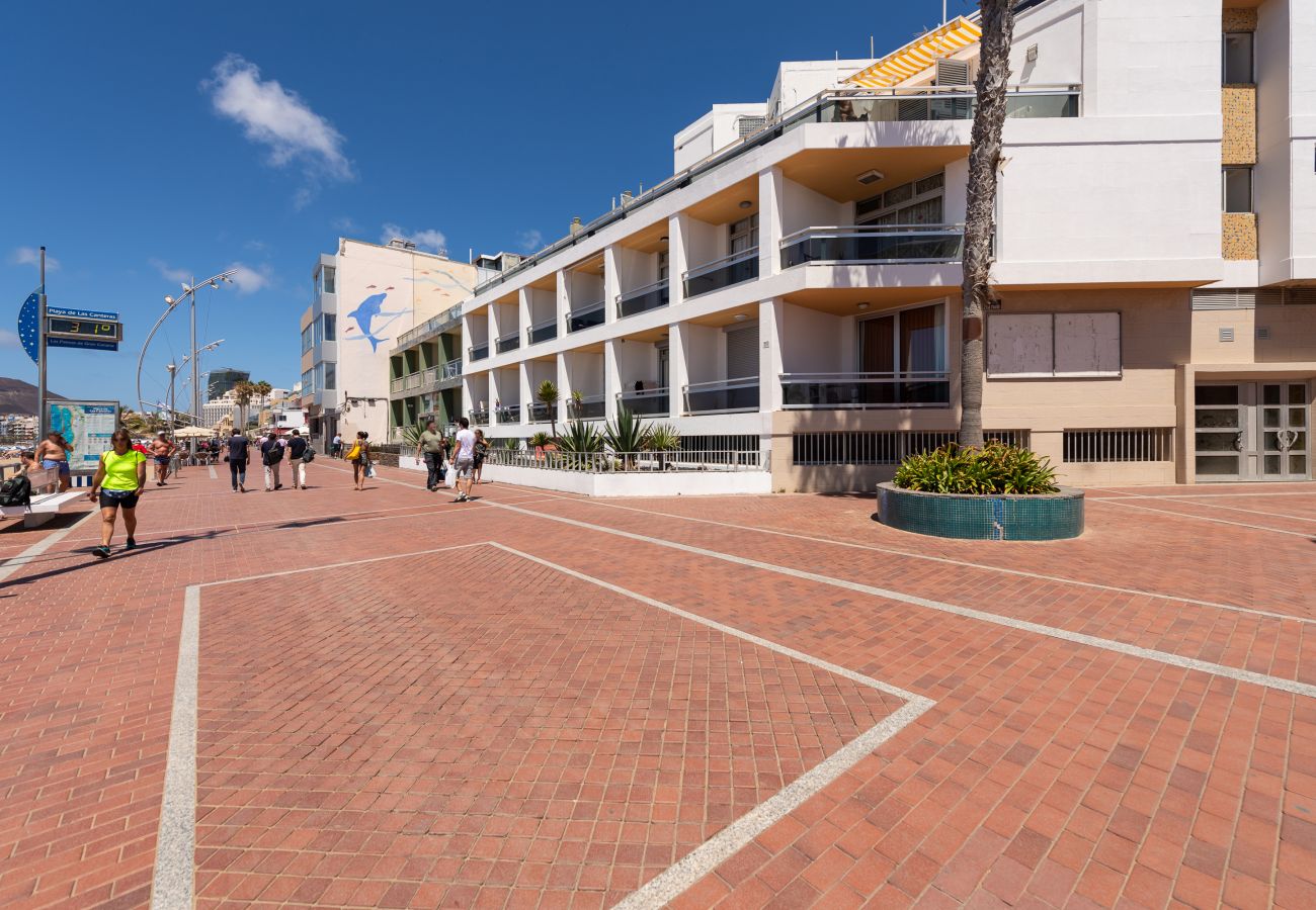 Estudio en Las Palmas de Gran Canaria - Luis Morote 54