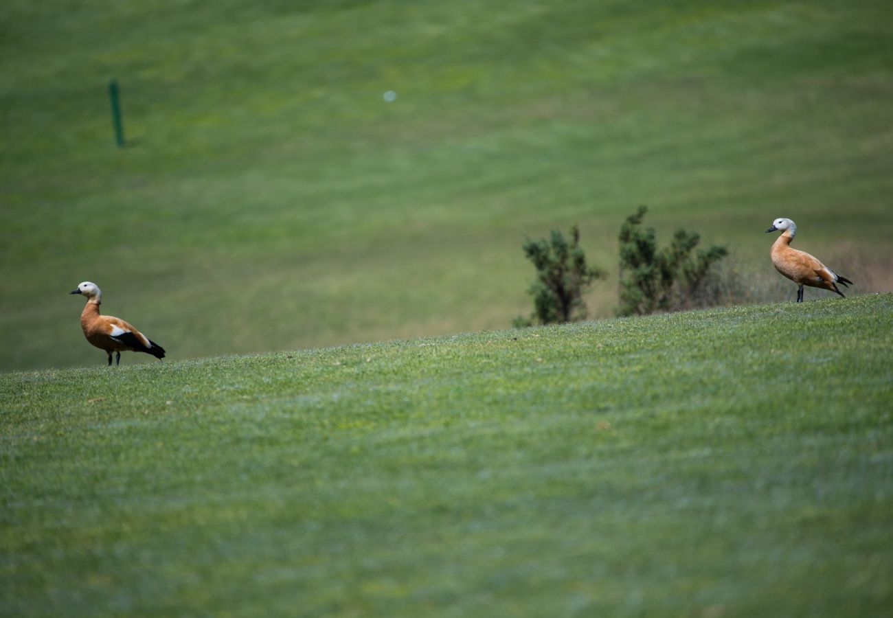 Villa en San Bartolomé de Tirajana - VISTA GOLF 28