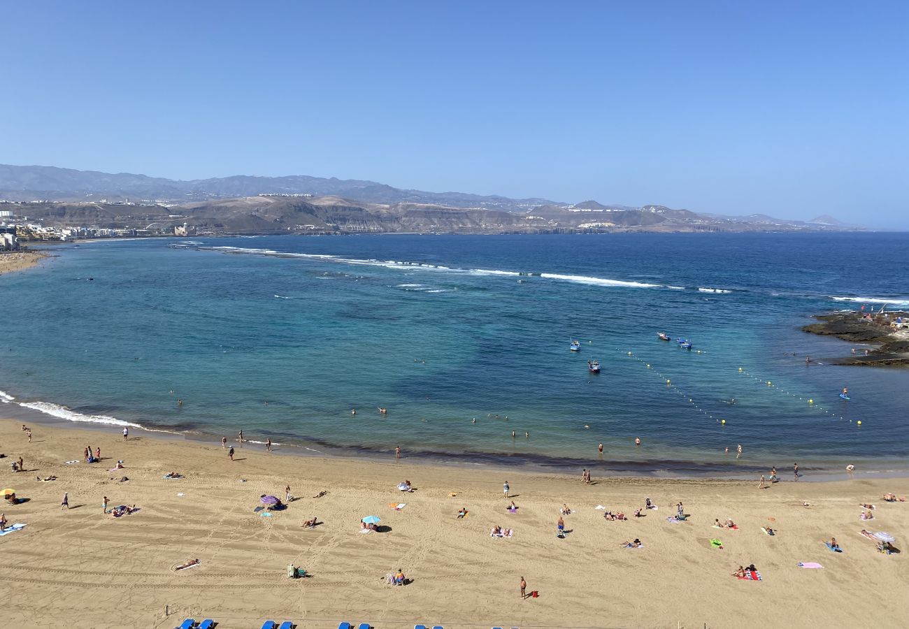 Estudio en Las Palmas de Gran Canaria - La Naval 94