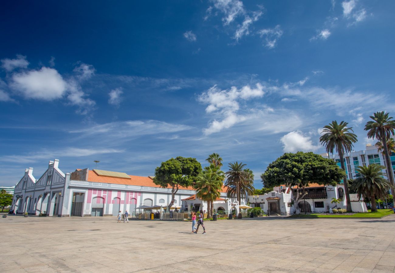 Estudio en Las Palmas de Gran Canaria - Grau Bassas 44