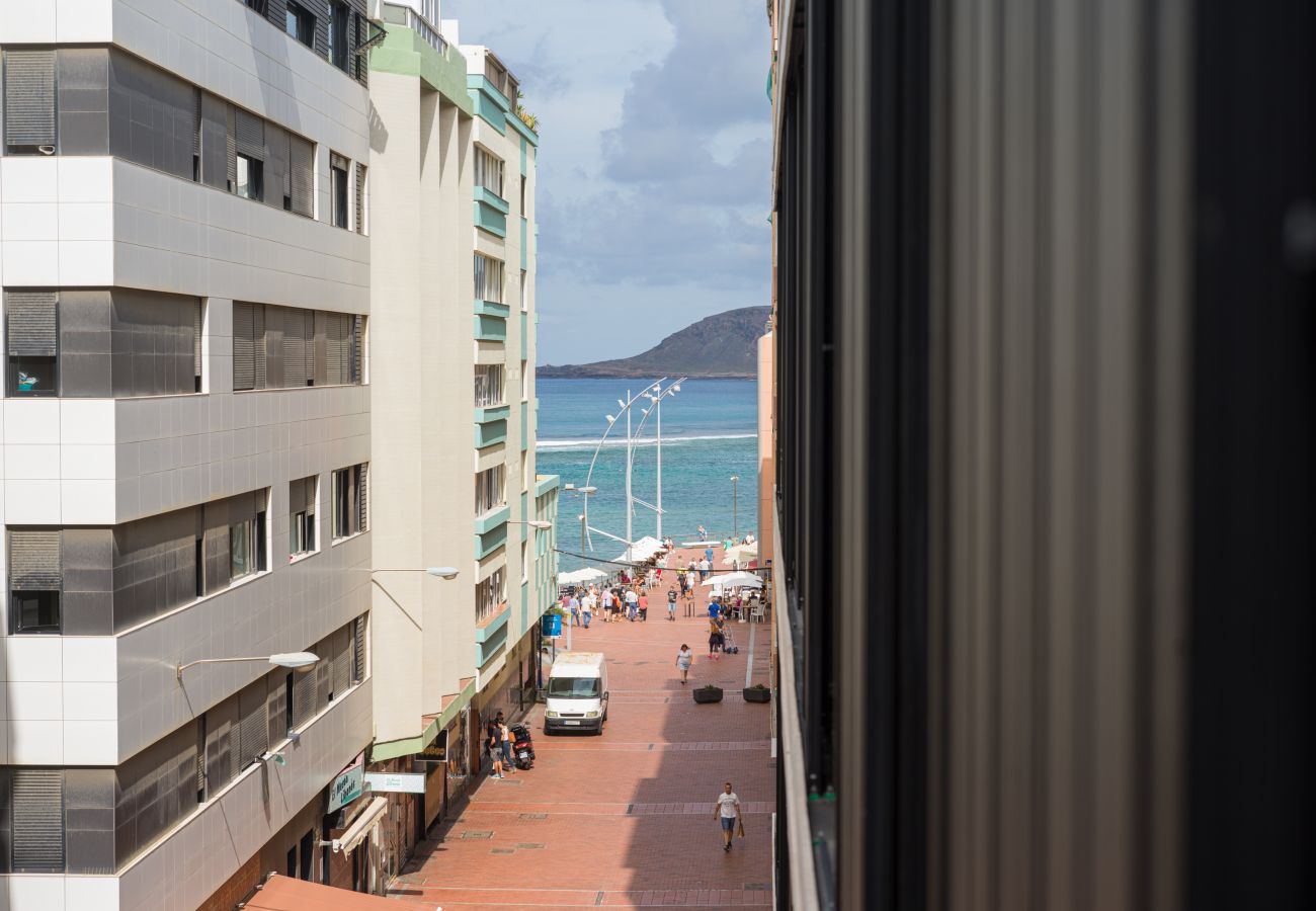 Estudio en Las Palmas de Gran Canaria - Grau Bassas 38