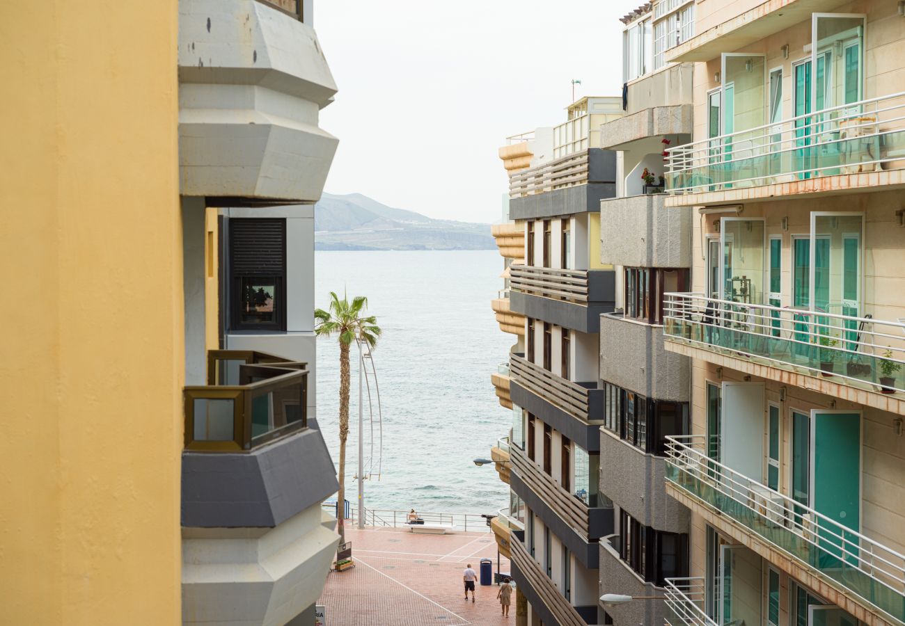 Estudio en Las Palmas de Gran Canaria - Grau Bassas 38