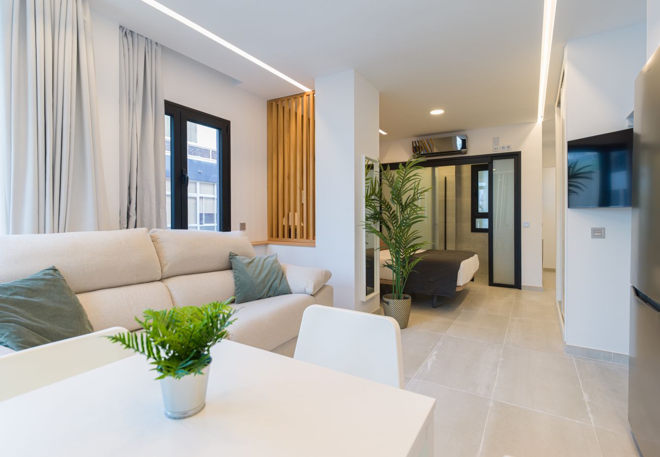 Estudio en Las Palmas de Gran Canaria - Grau Bassas 38
