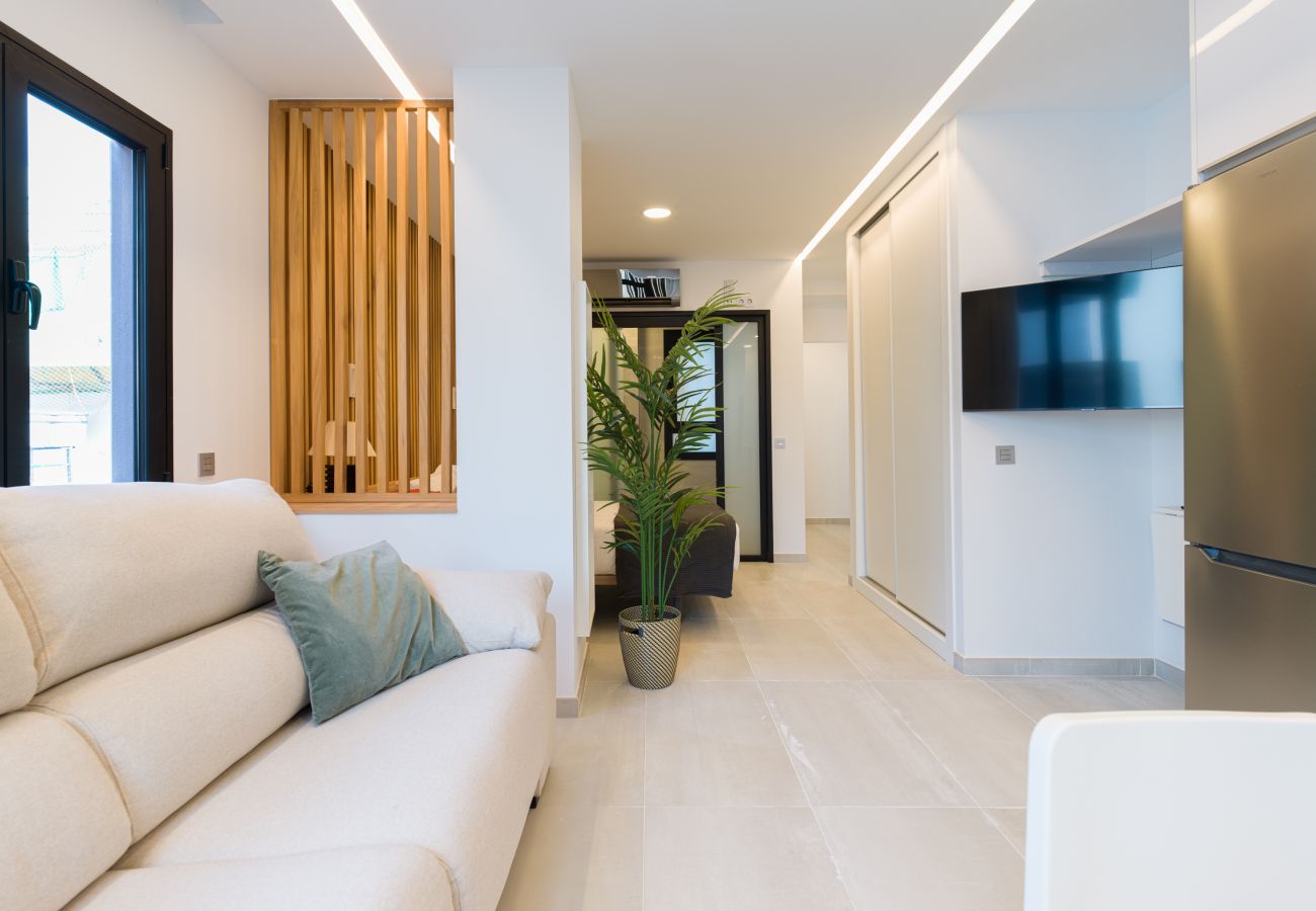 Estudio en Las Palmas de Gran Canaria - Grau Bassas 38