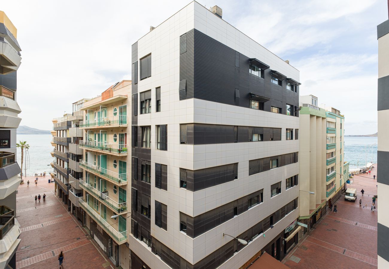Estudio en Las Palmas de Gran Canaria - Grau Bassas 38