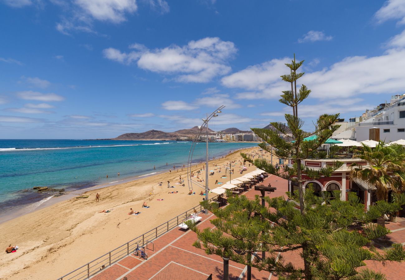 Casa en Las Palmas de Gran Canaria - Luis Morote 61