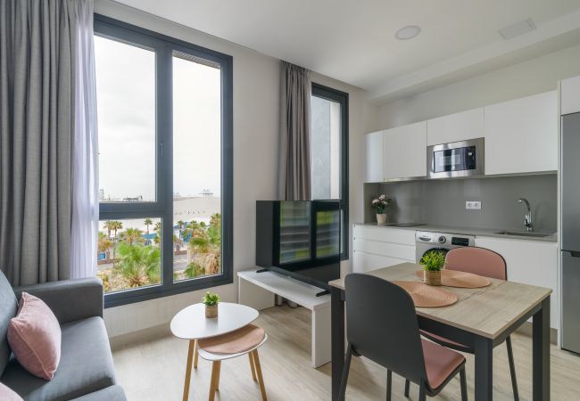 Estudio en Las Palmas de Gran Canaria - Lanzarote 4