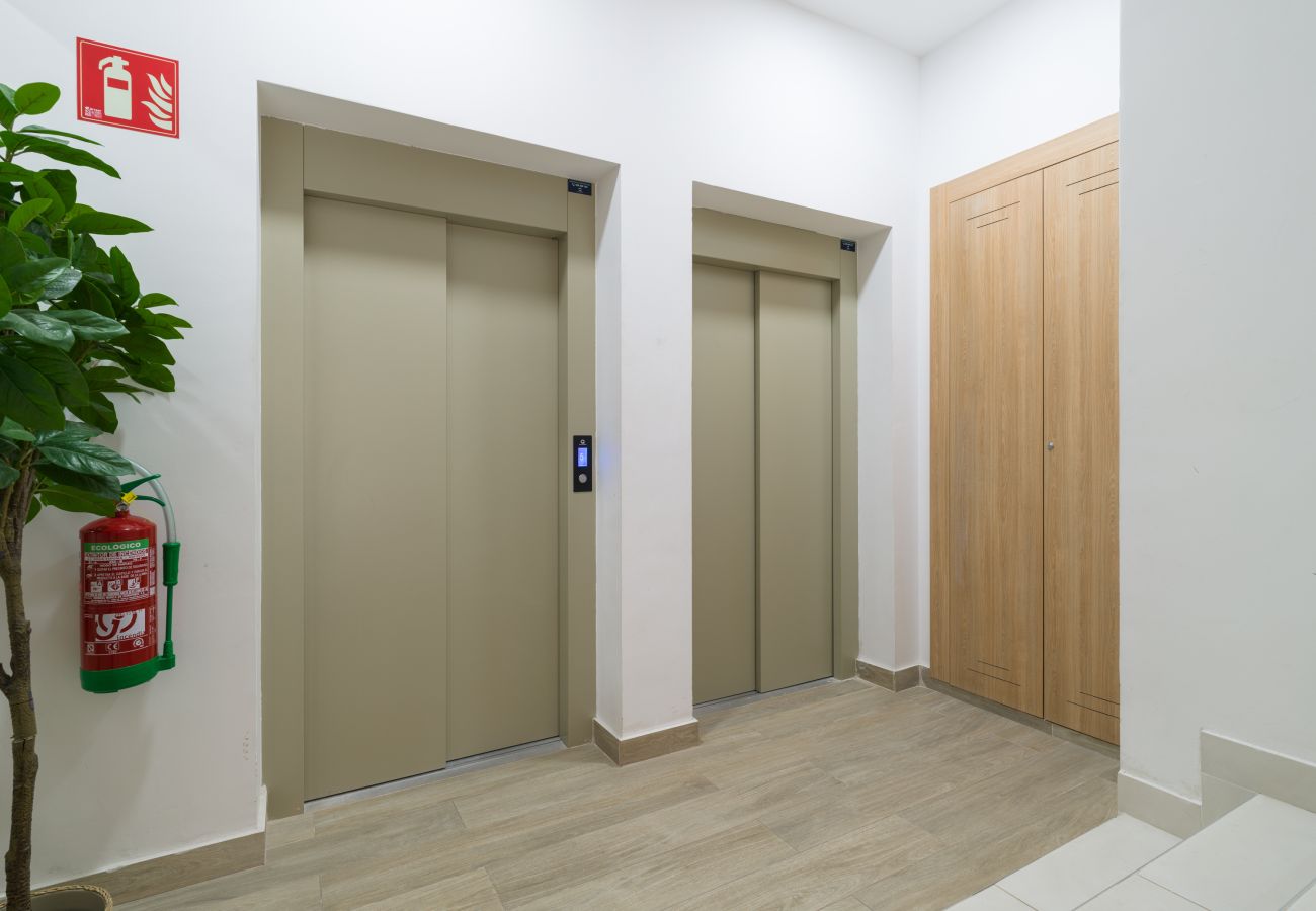 Estudio en Las Palmas de Gran Canaria - Lanzarote 4