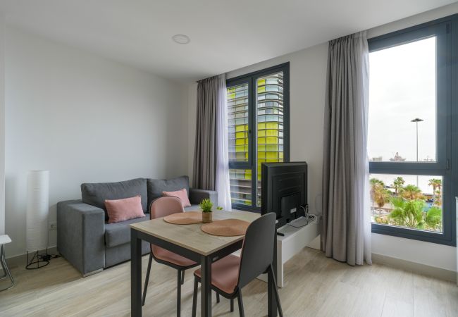 Estudio en Las Palmas de Gran Canaria - Lanzarote 4
