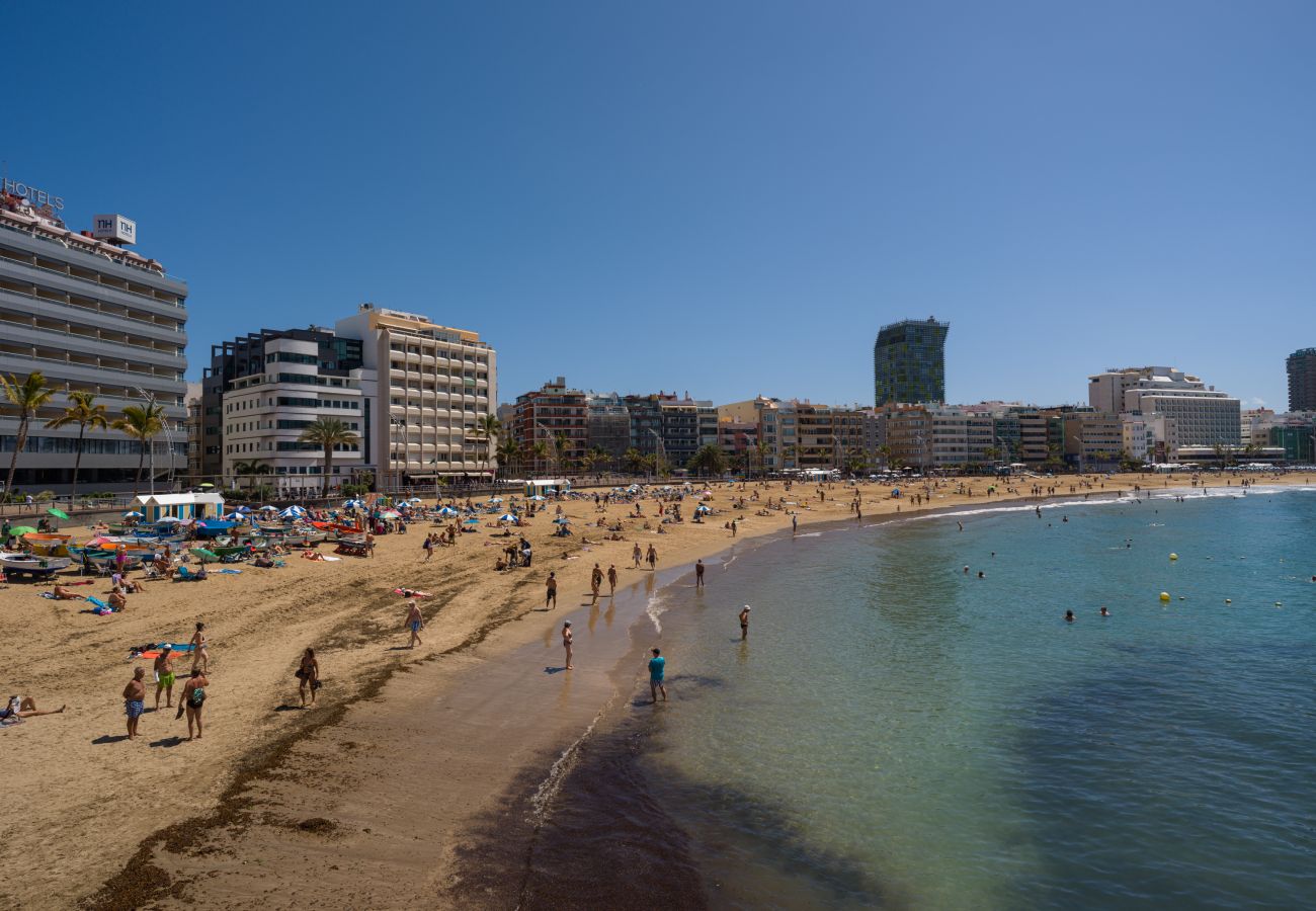 Estudio en Las Palmas de Gran Canaria - Lanzarote 4