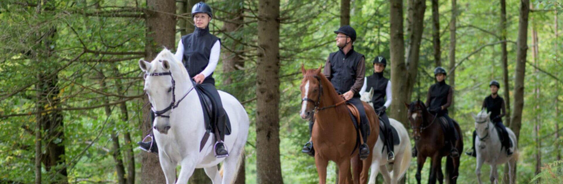 montar a caballo en gran canaria