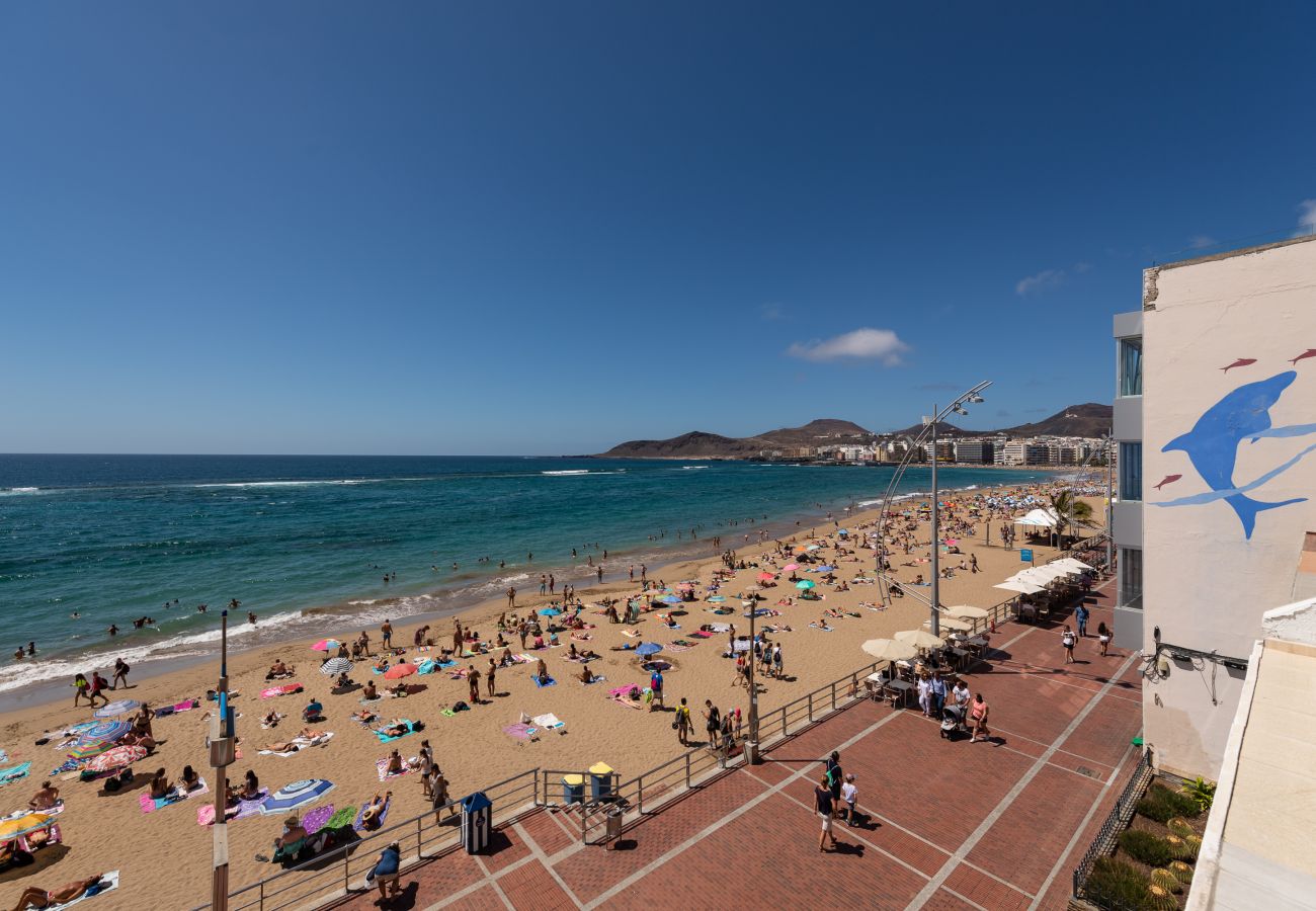 Studio in Las Palmas de Gran Canaria - Luis Morote 54