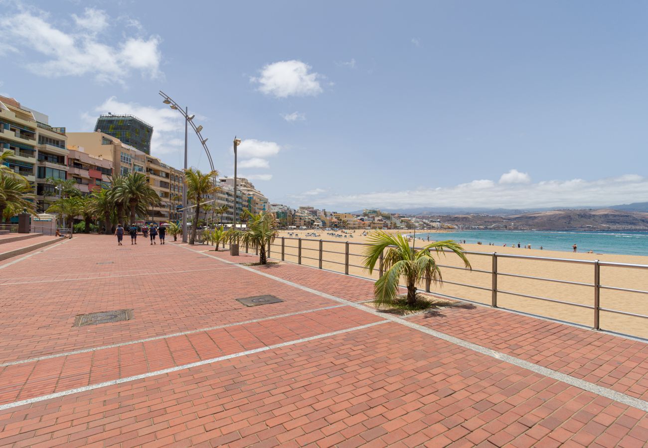Studio in Las Palmas de Gran Canaria - Luis Morote 54