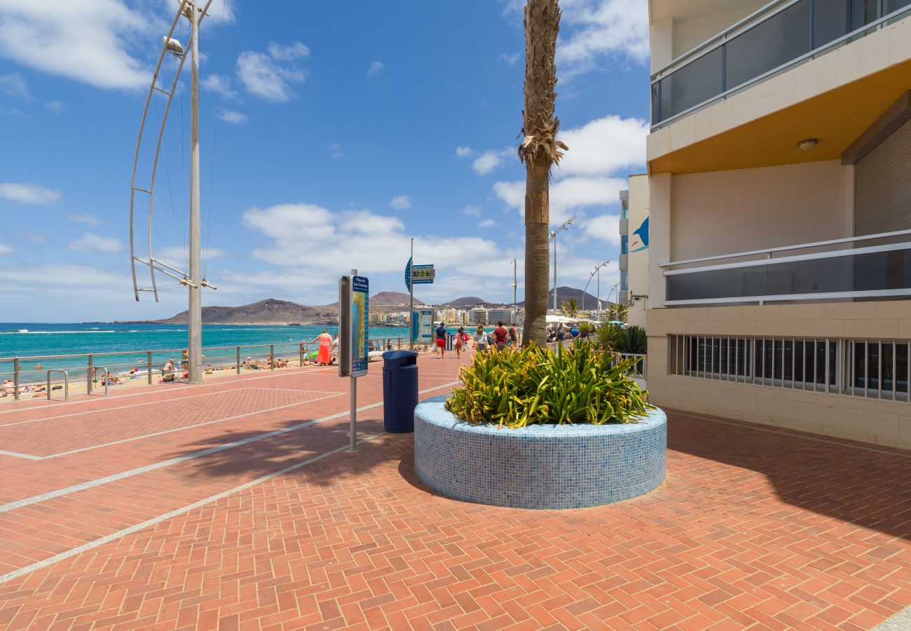 Studio in Las Palmas de Gran Canaria - Luis Morote 54
