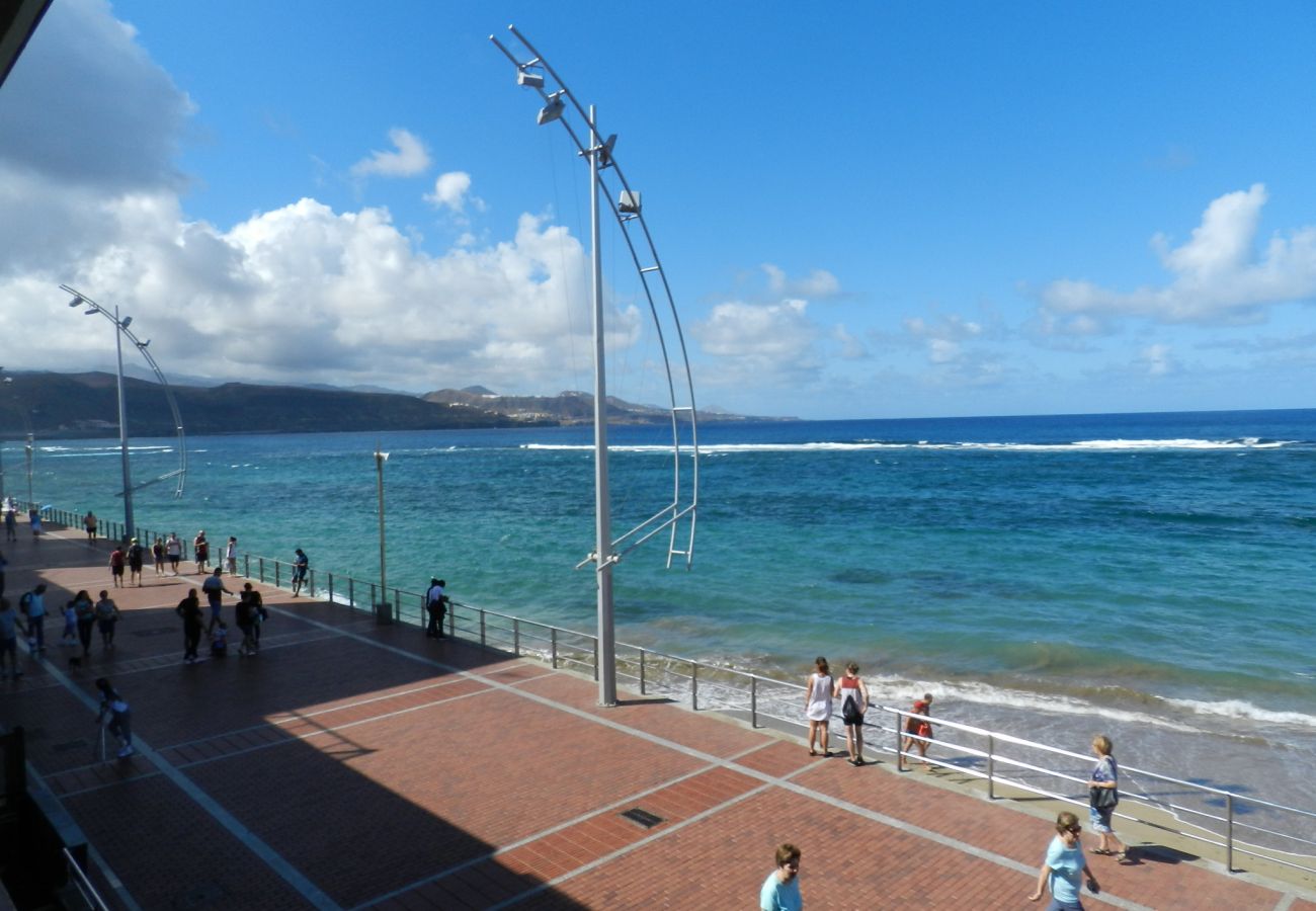 House in Las Palmas de Gran Canaria - Luis Morote 61