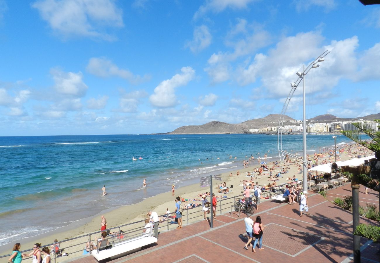 House in Las Palmas de Gran Canaria - Luis Morote 61