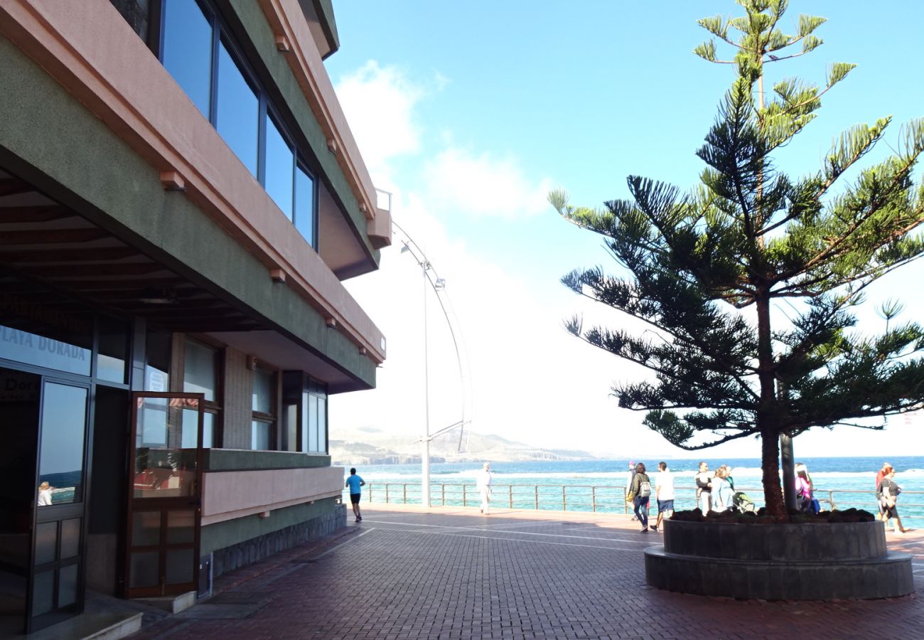 House in Las Palmas de Gran Canaria - Luis Morote 61