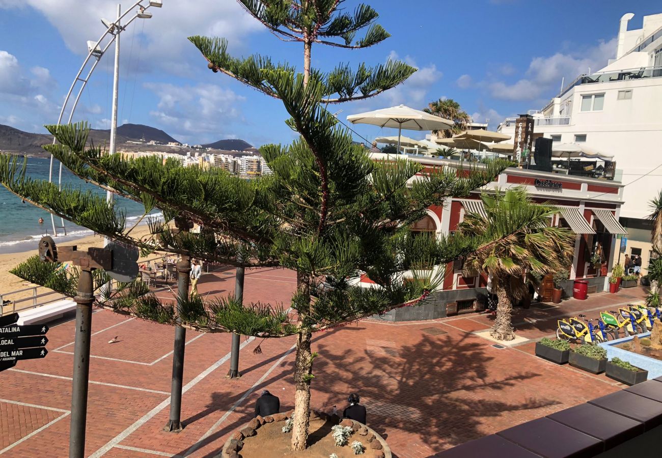 House in Las Palmas de Gran Canaria - Luis Morote 61