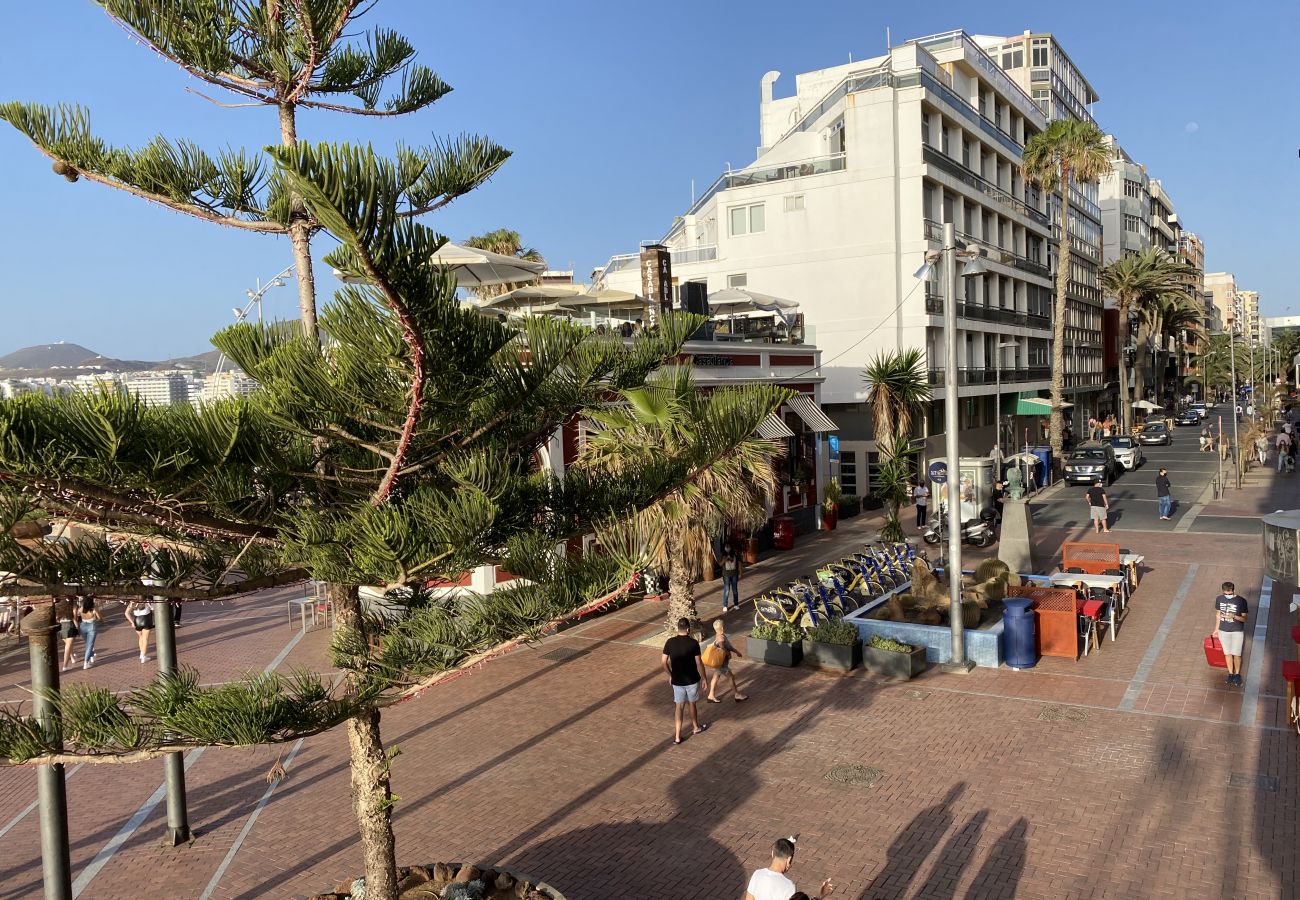 House in Las Palmas de Gran Canaria - Luis Morote 61
