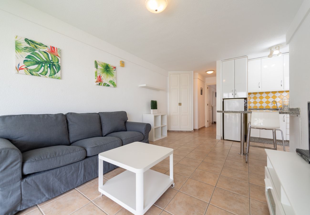 House in San Bartolomé de Tirajana - Las Adelfas 20