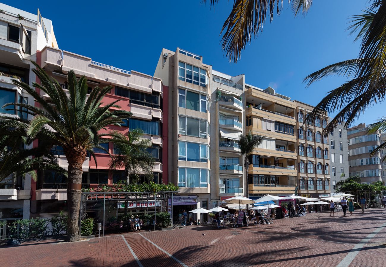 House in Las Palmas de Gran Canaria - Sagasta 80