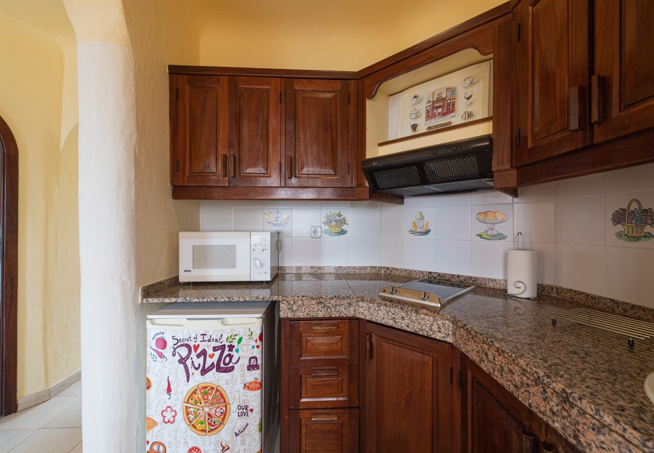 House in San Bartolomé de Tirajana - Altamar