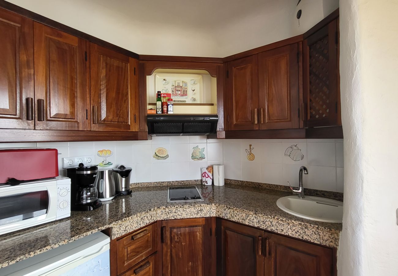 House in San Bartolomé de Tirajana - Altamar