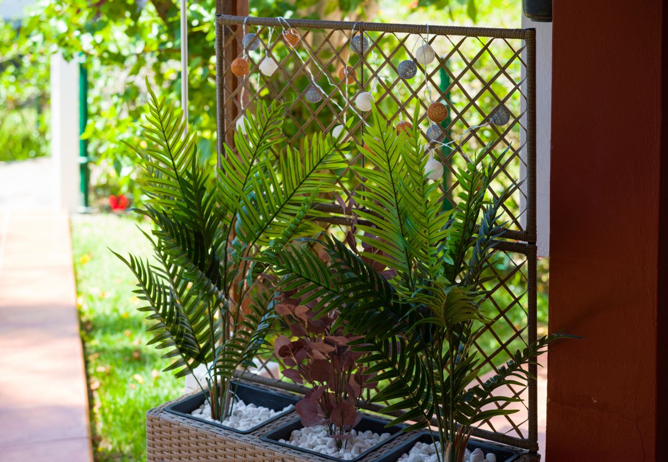 Bungalow in San Bartolomé de Tirajana - LOS TUNOS 29