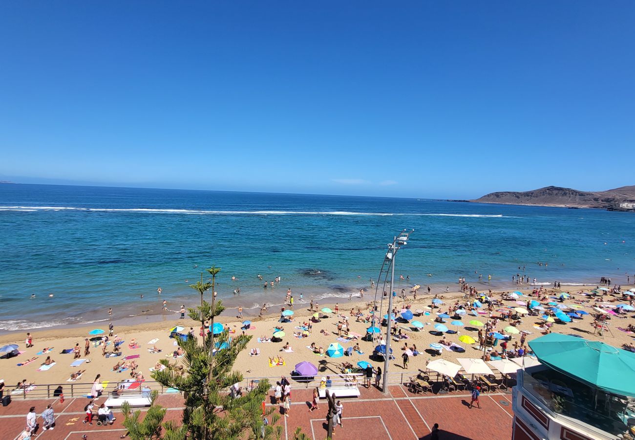 House in Las Palmas de Gran Canaria - Luis Morote 61