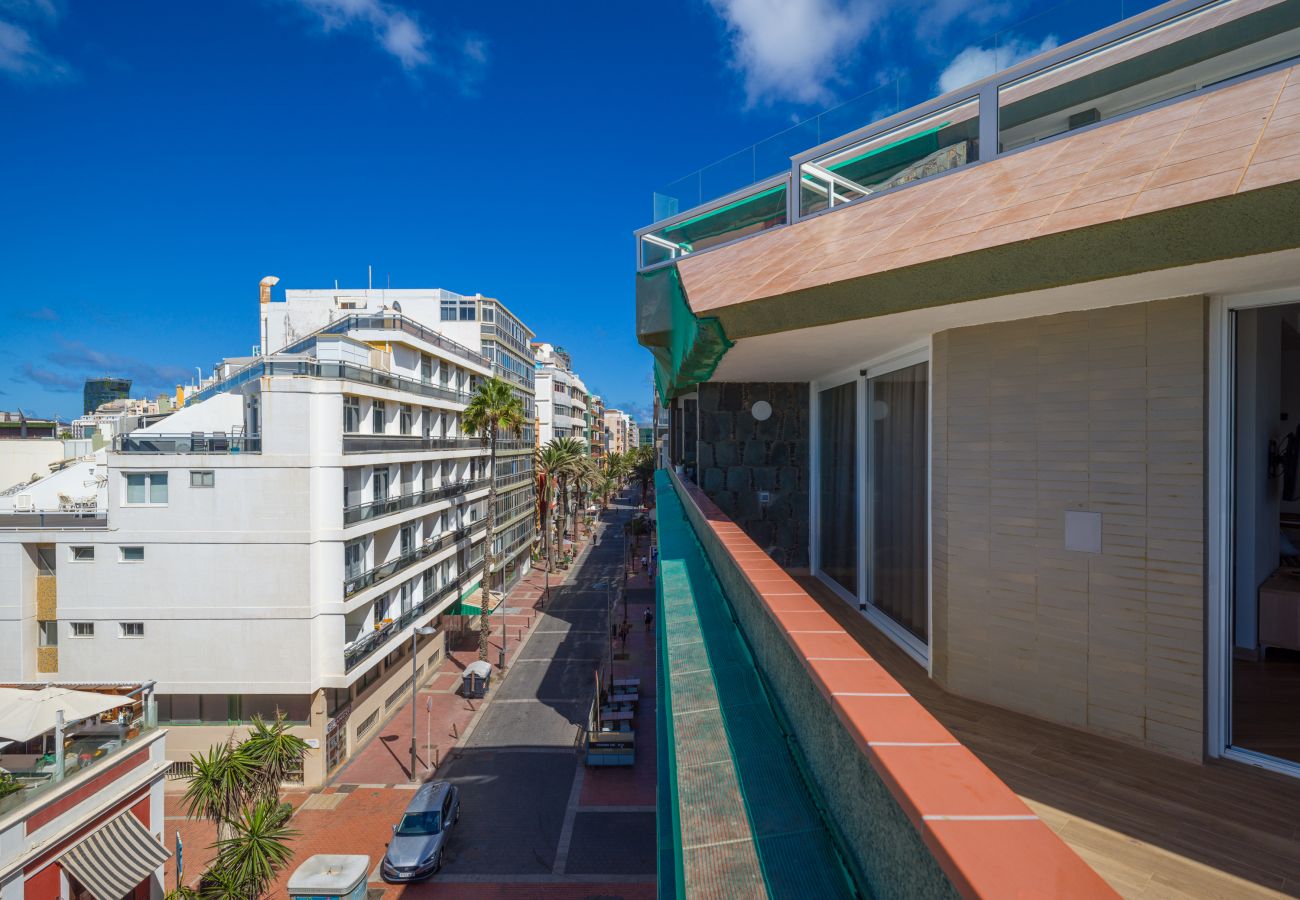 House in Las Palmas de Gran Canaria - Luis Morote 61