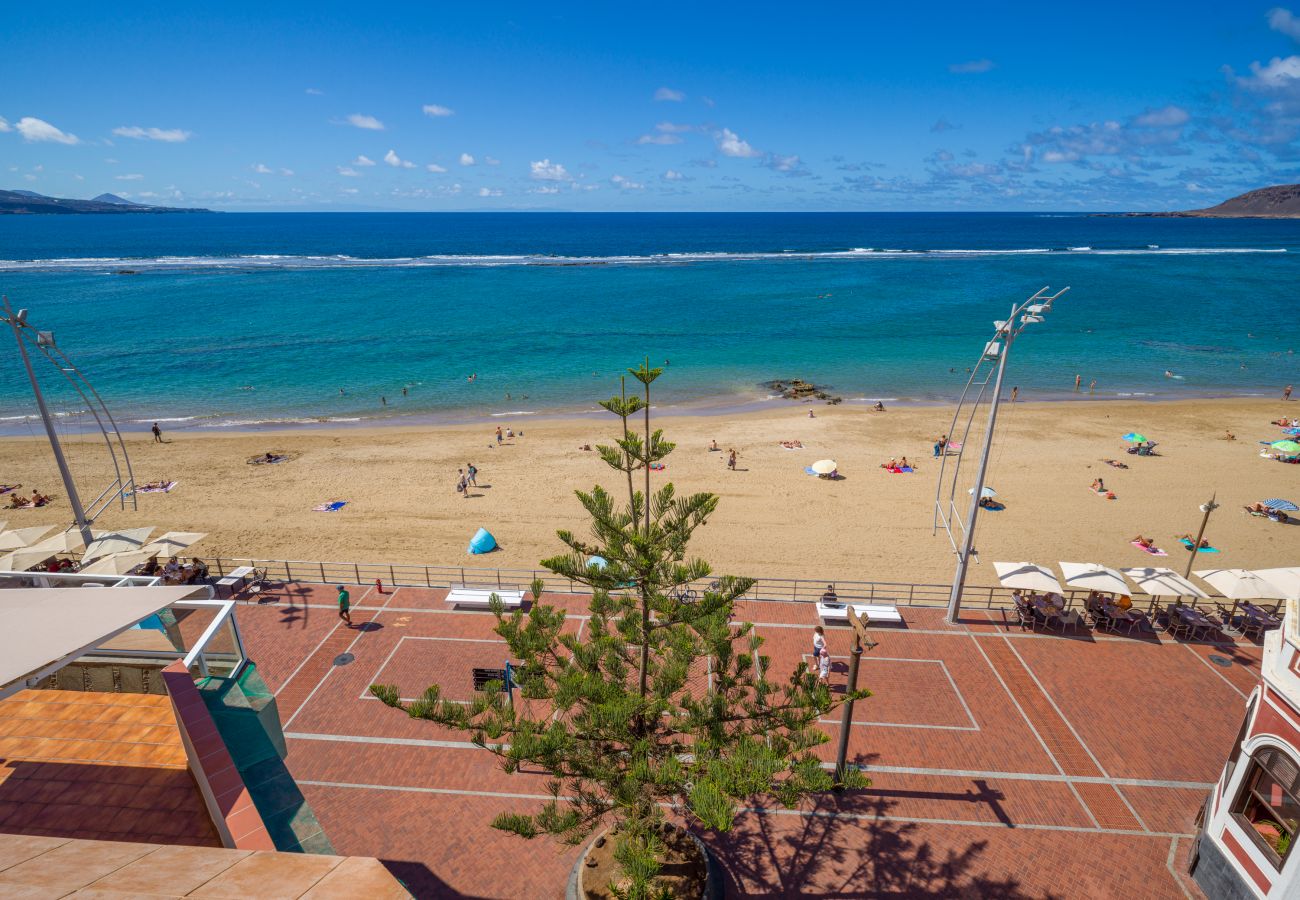 House in Las Palmas de Gran Canaria - Luis Morote 61